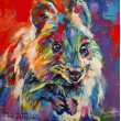 Quokka